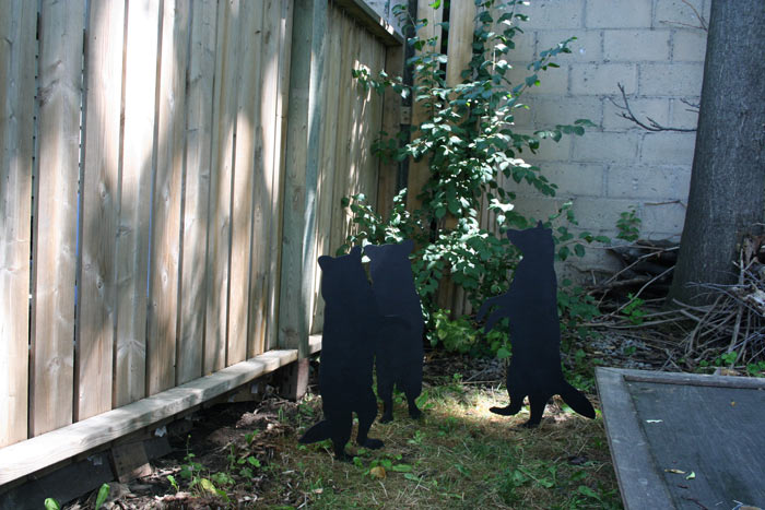 Jennifer Linton